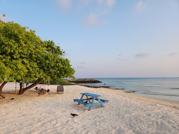 Choosing the Best Hotel in Maafushi