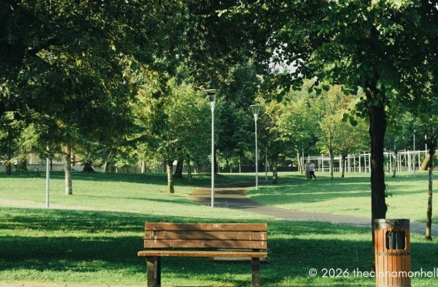 Neighborhood Amenities park