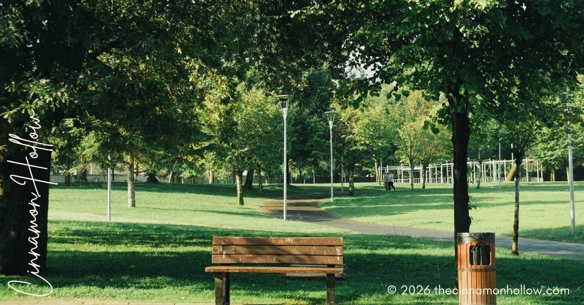 Neighborhood Amenities park