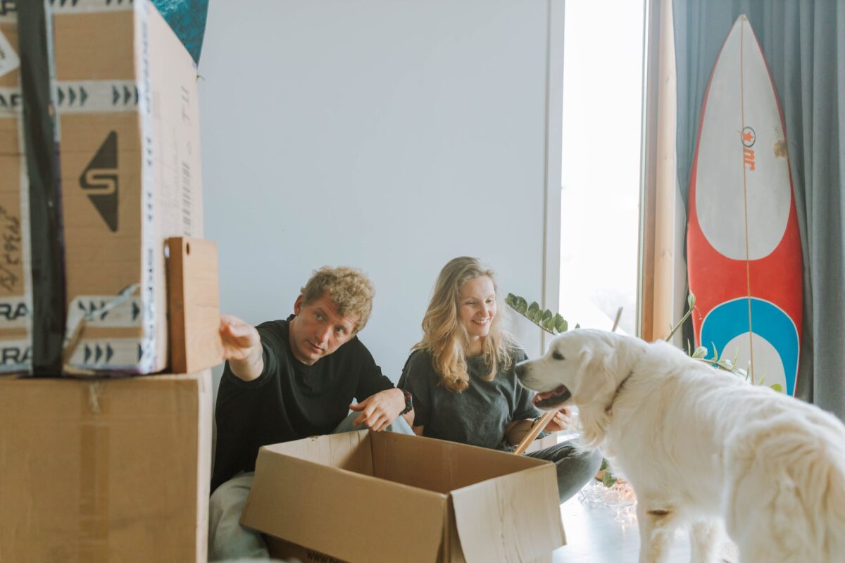 making a new place feel like home for your pets