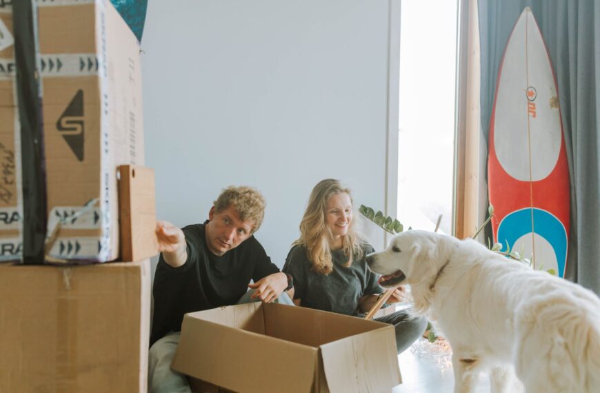 making a new place feel like home for your pets