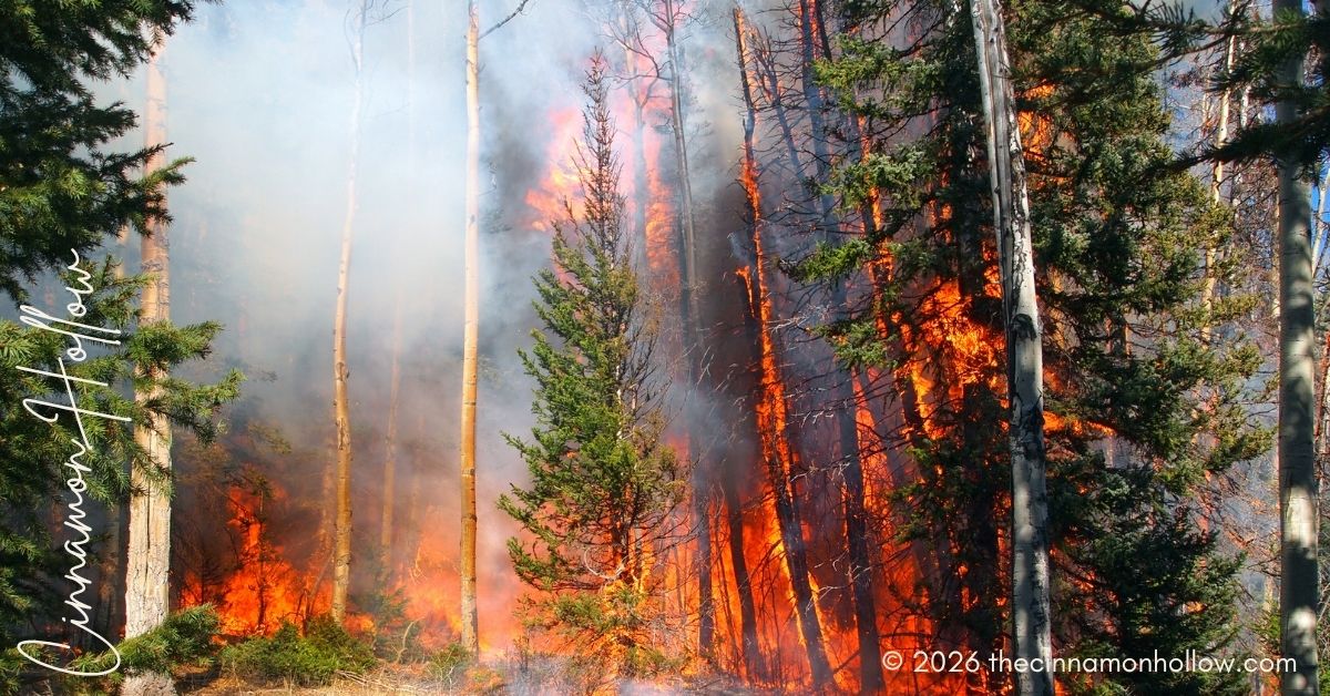 Keep Wildfire Smoke Out of Your House