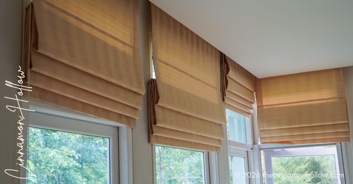Window Shade