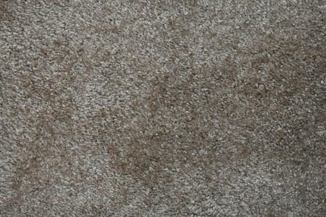 Carpet Needs a Deep Clean