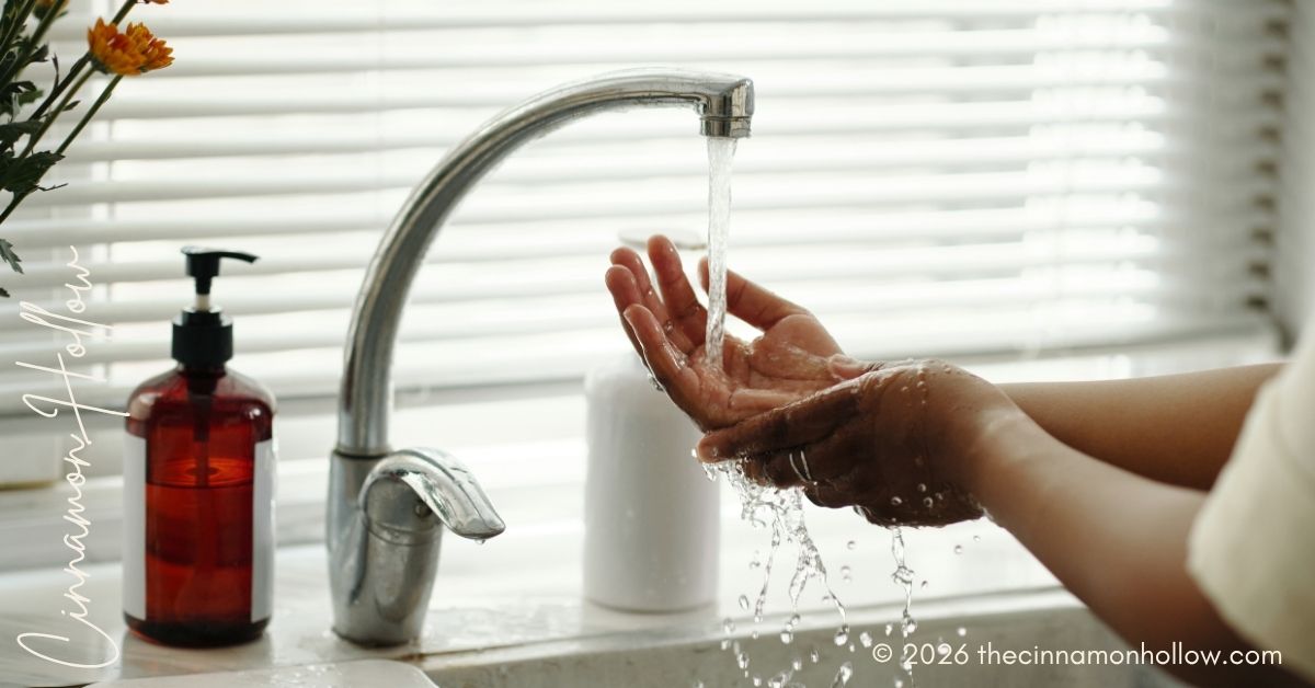 Home Water System