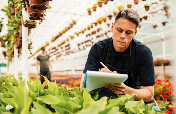 harvest planning