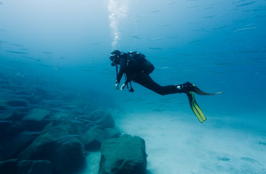 Islamorada Dive Tour