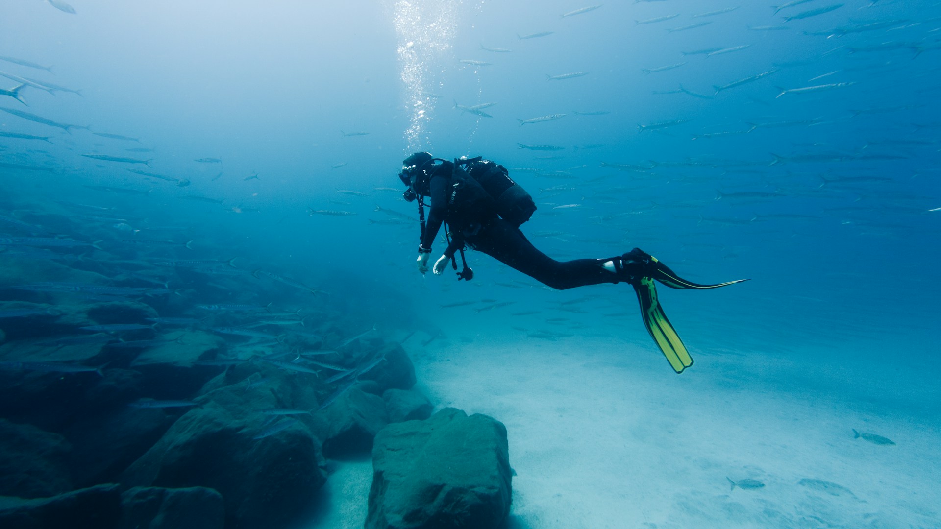 Islamorada Dive Tour