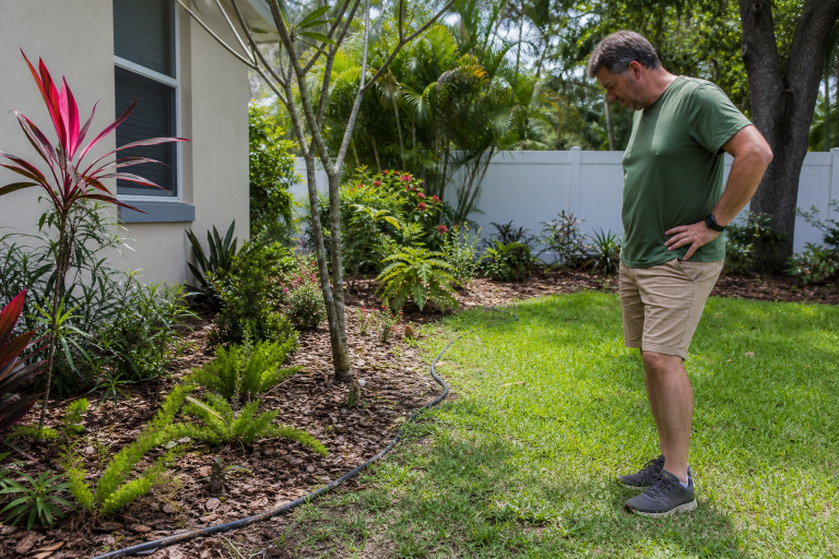 Low-Maintenance Florida Yard
