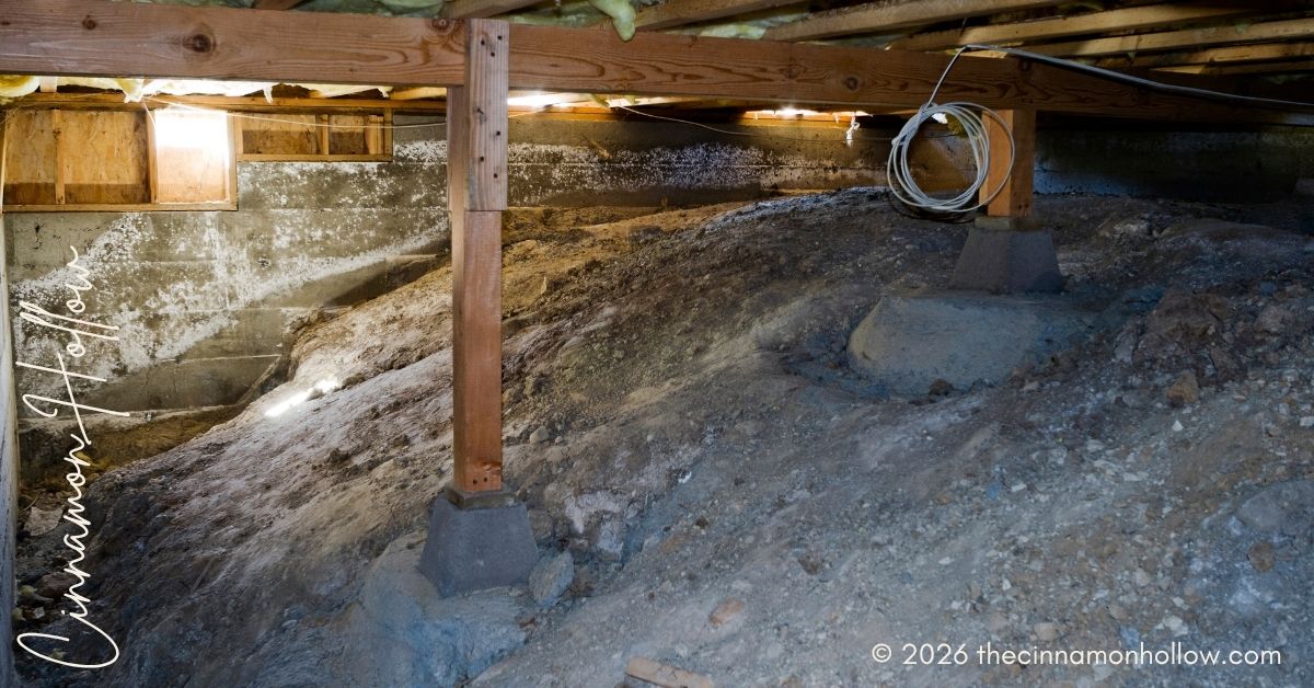 mold in crawl spaces