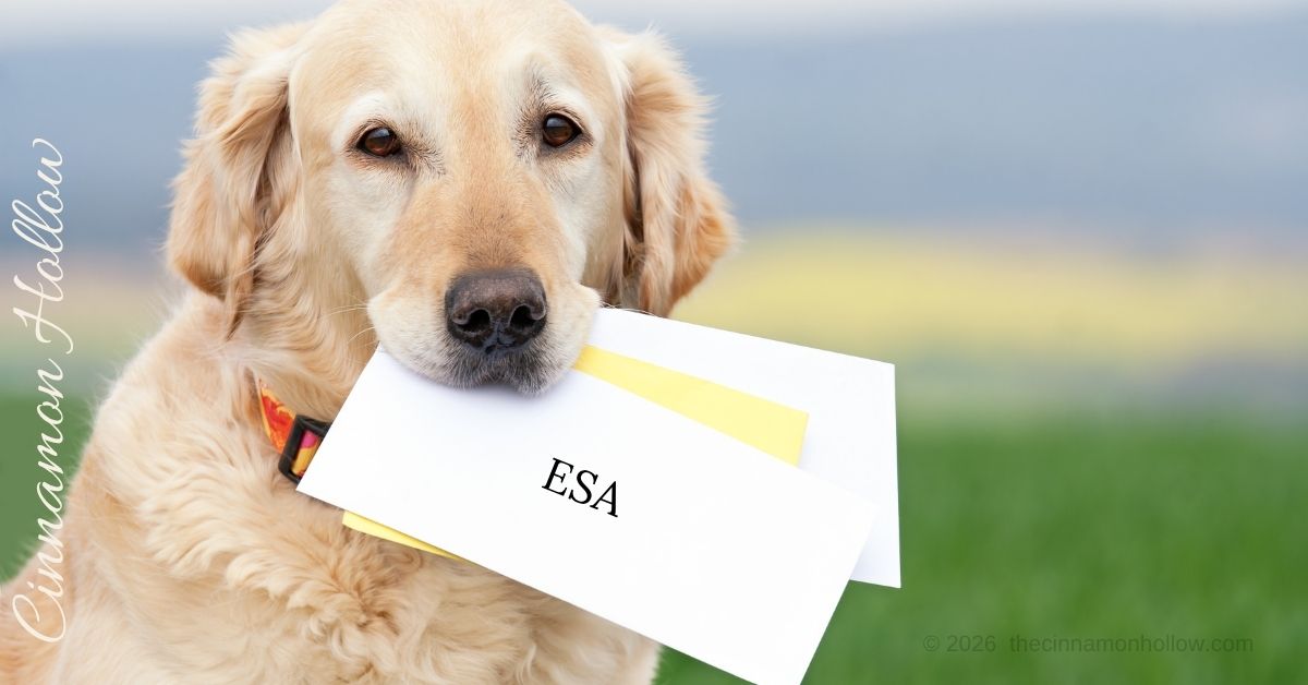 ESA dog letter