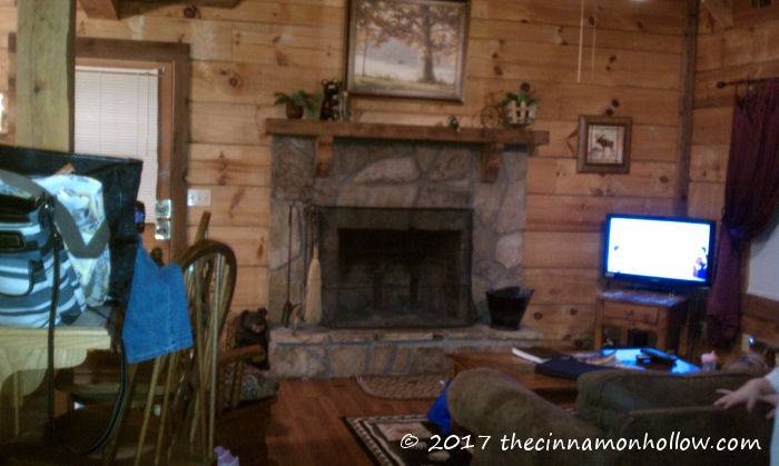 Auntie Belham's Cabin Rentals - Lazy Daze