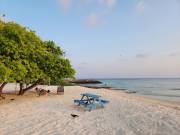 The Ultimate Guide to Choosing the Best Hotel in Maafushi for Your Dream Vacation