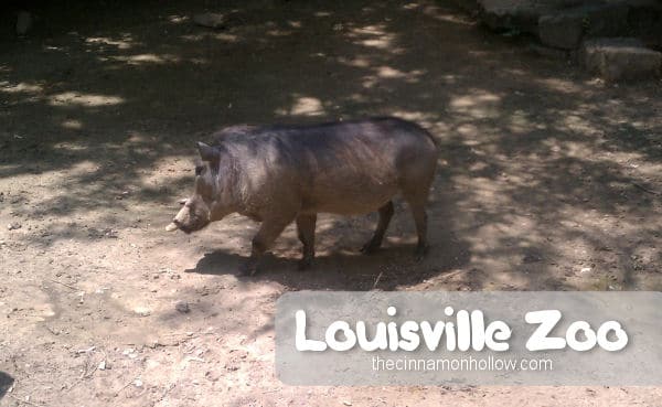 Louisville Zoo 14