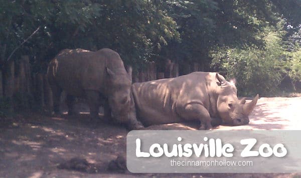 Louisville Zoo 16