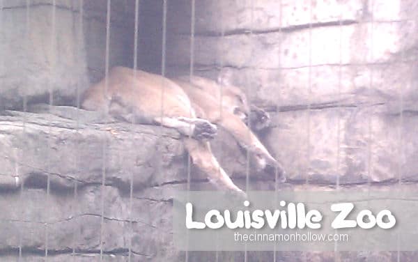 Louisville Zoo 17