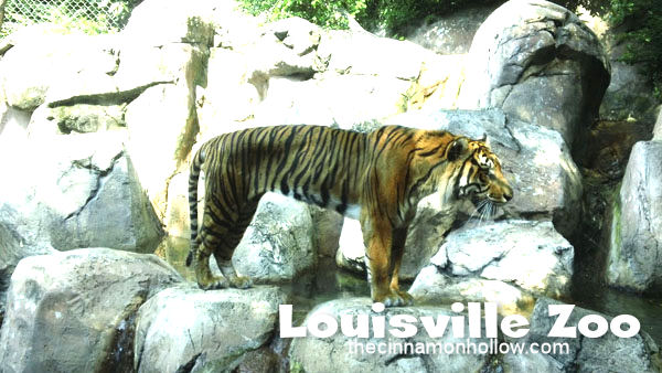 Louisville Zoo 22