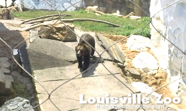 Louisville Zoo 30