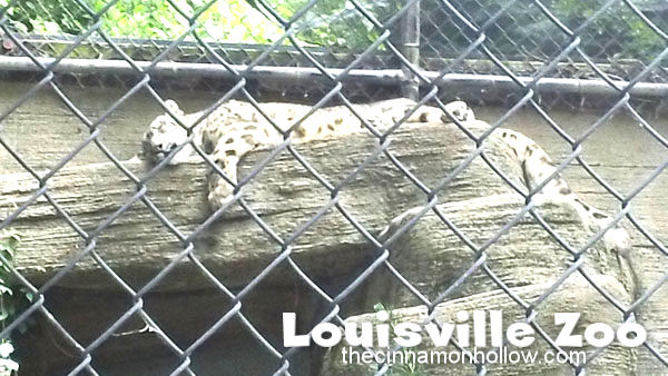 Louisville Zoo 34
