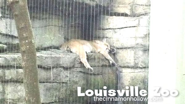 Louisville Zoo 35