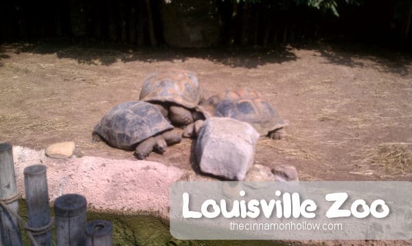 Louisville Zoo 5