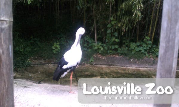 Louisville Zoo 8
